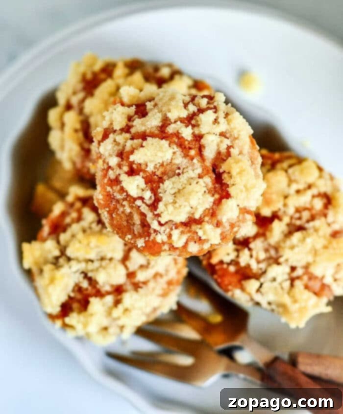 Spiced Mini Pumpkin Muffins 2 Pumpkin-Muffins-with-streusel