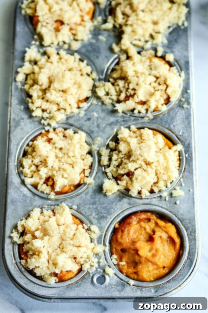 Spiced Mini Pumpkin Muffins 5 Mini Pumpkin Chocolate Chip Muffins