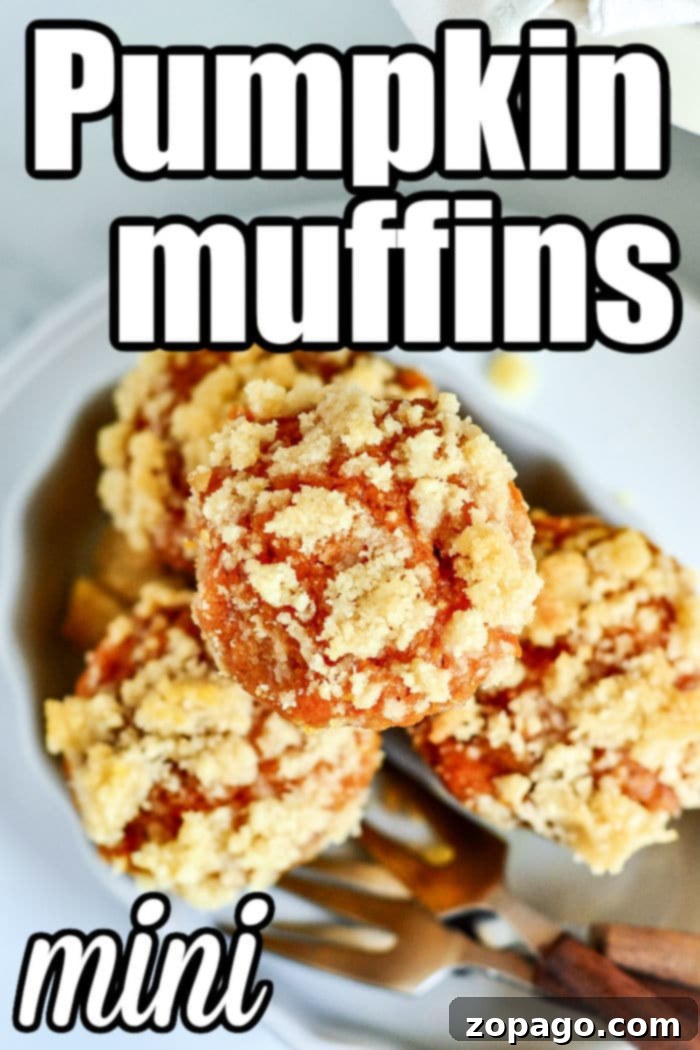 Pumpkin Spice Mini Muffins 6 A close-up of several mini pumpkin muffins, showcasing their delicate texture and golden-brown tops.