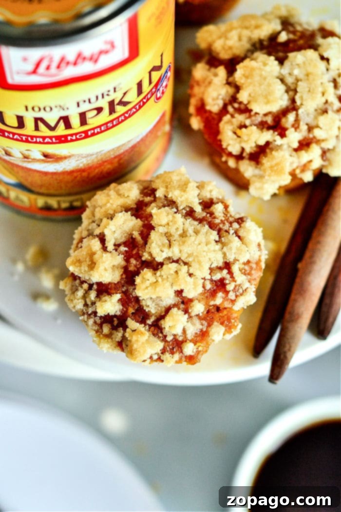 Cozy Autumn Pumpkin Muffins 2 Beautifully baked Libby's Pumpkin Muffins, golden brown and ready to enjoy