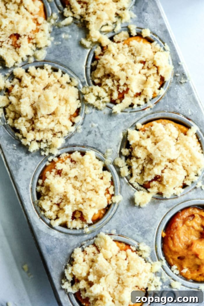 Cozy Autumn Pumpkin Muffins 4 Freshly baked Libby's Pumpkin Muffins adorned with a perfect crumb topping