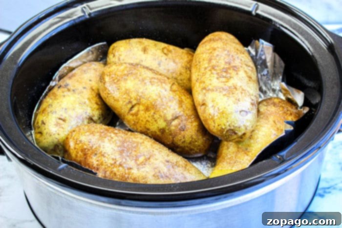 Savory Pulled Pork Baked Potato 3 Crockpot baked potatoes cooking in a slow cooker.
