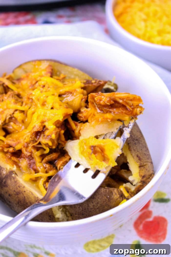 Savory Pulled Pork Baked Potato 6 A generously loaded Pulled Pork Baked Potato, ready to be served.
