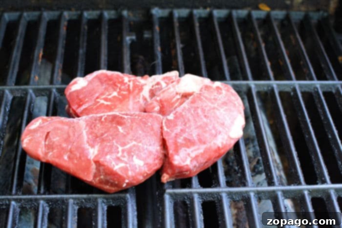 Skip the Thaw: Grill Perfect Frozen Steak 4 How to Grill a Frozen Steak