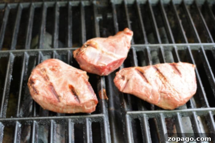 Skip the Thaw: Grill Perfect Frozen Steak 5 cook frozen steaks on the grill