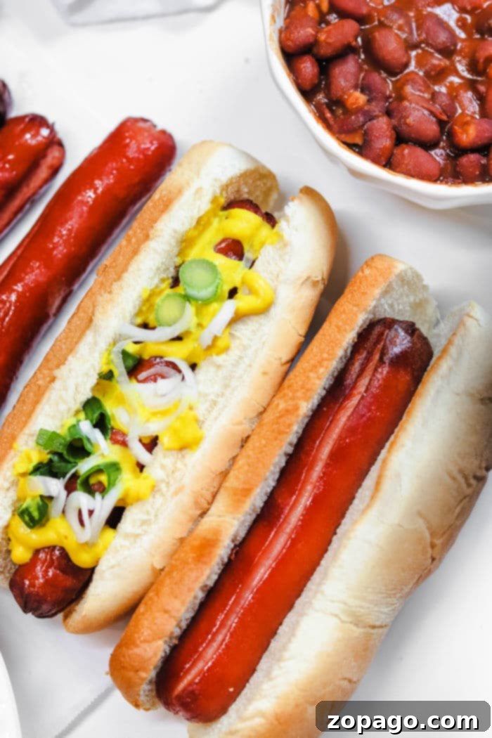 Perfect Air Fryer Frozen Hot Dogs 2 Frozen Hot Dogs in Air Fryer: Crispy and Ready in Minutes