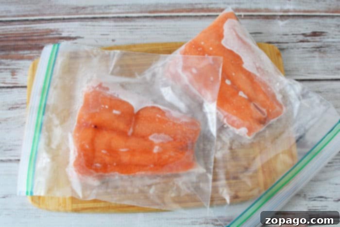 Perfect Grilled Salmon From Frozen 3 Can you Cook Frozen Salmon on the Grill