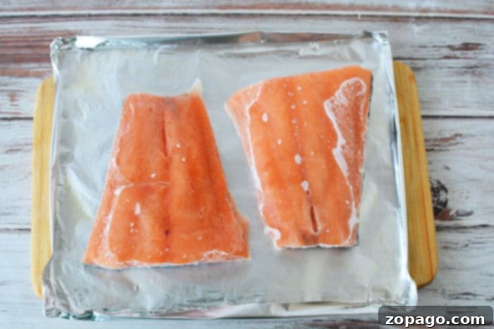 How to Grill Salmon from Frozen 4 How to Grill Frozen Salmon