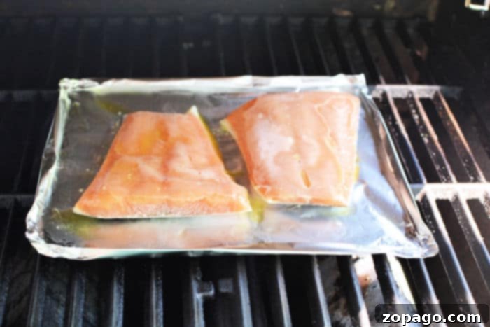 How to Grill Salmon from Frozen 5 Frozen Salmon on the Grill