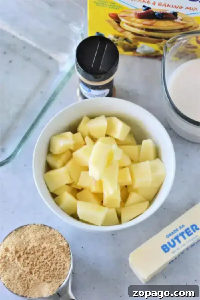Easy Bisquick Apple Cobbler 4 A bowl of diced apples is surrounded by a box of Bisquick for making an apple cobbler, a measuring cup of brown sugar, a stick of butter, a glass of milk, and a bottle of ground cinnamon on a light-colored countertop.