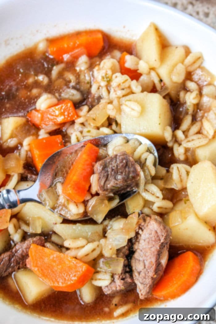 Hearty Slow Cooker Beef Barley Soup 2 Best Ever Beef and Barley Soup