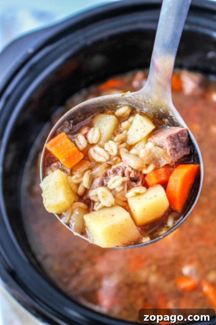 Hearty Slow Cooker Beef Barley Soup 4 Vegetable Beef Barley Soup Slow Cooker