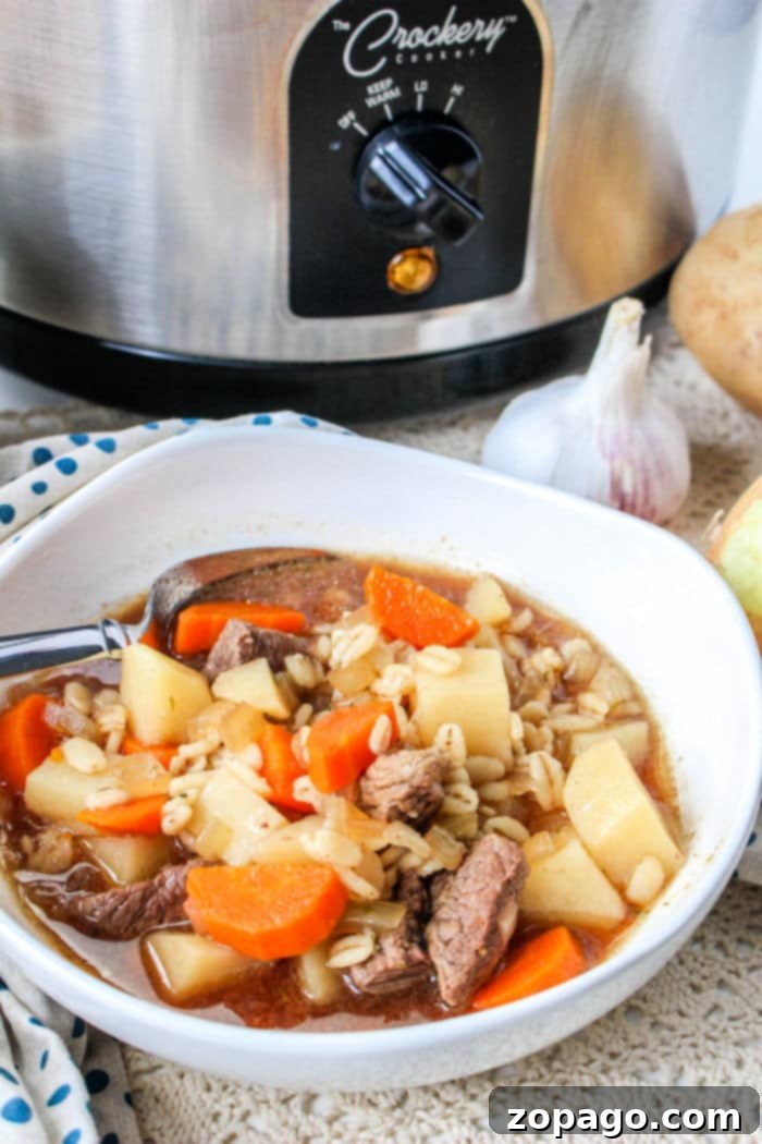 Hearty Slow Cooker Beef Barley Soup 6 A comforting bowl of beef soup with carrots and potatoes sits invitingly in front of a crockpot, reminiscent of a hearty beef barley soup.