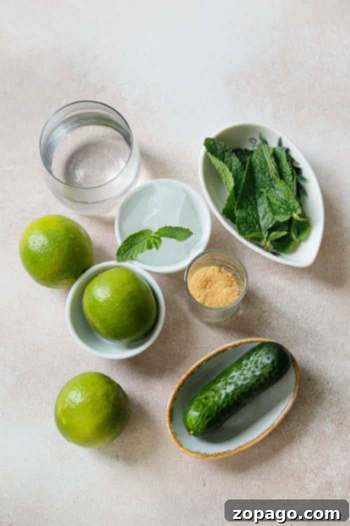 Simple Lime Refresher 3 Lime Drink Recipe close-up, garnished with mint and cucumber