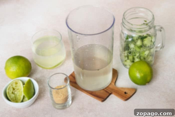 Refreshing Lime Mocktail 4 Glass of homemade copycat Starbucks Cool Lime Refresher with a straw, garnished with lime and mint.