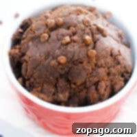 Brownie Batter Edible