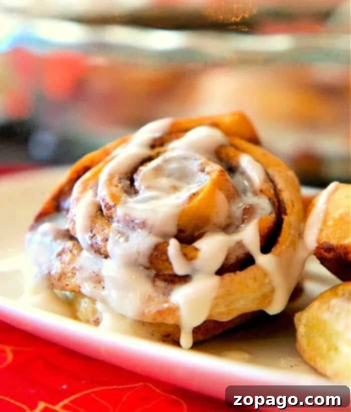 Effortless Bisquick Cinnamon Rolls 2 Delicious Bisquick cinnamon rolls freshly baked and ready to eat.