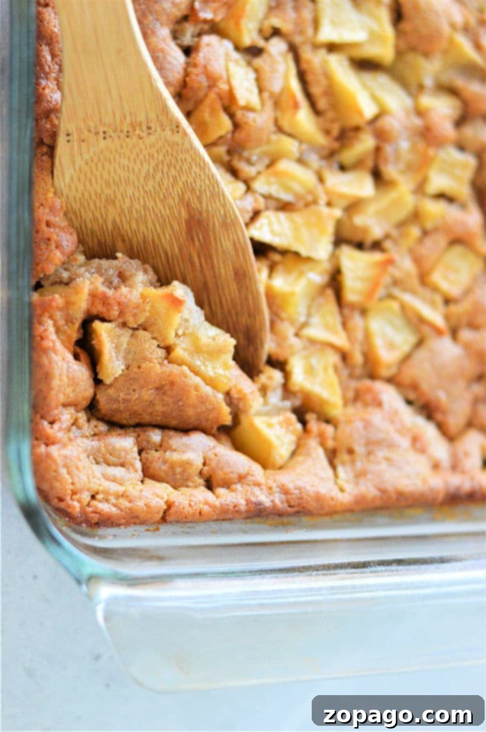 Effortless Bisquick Meals 6 Apple Cobbler with Bisquick