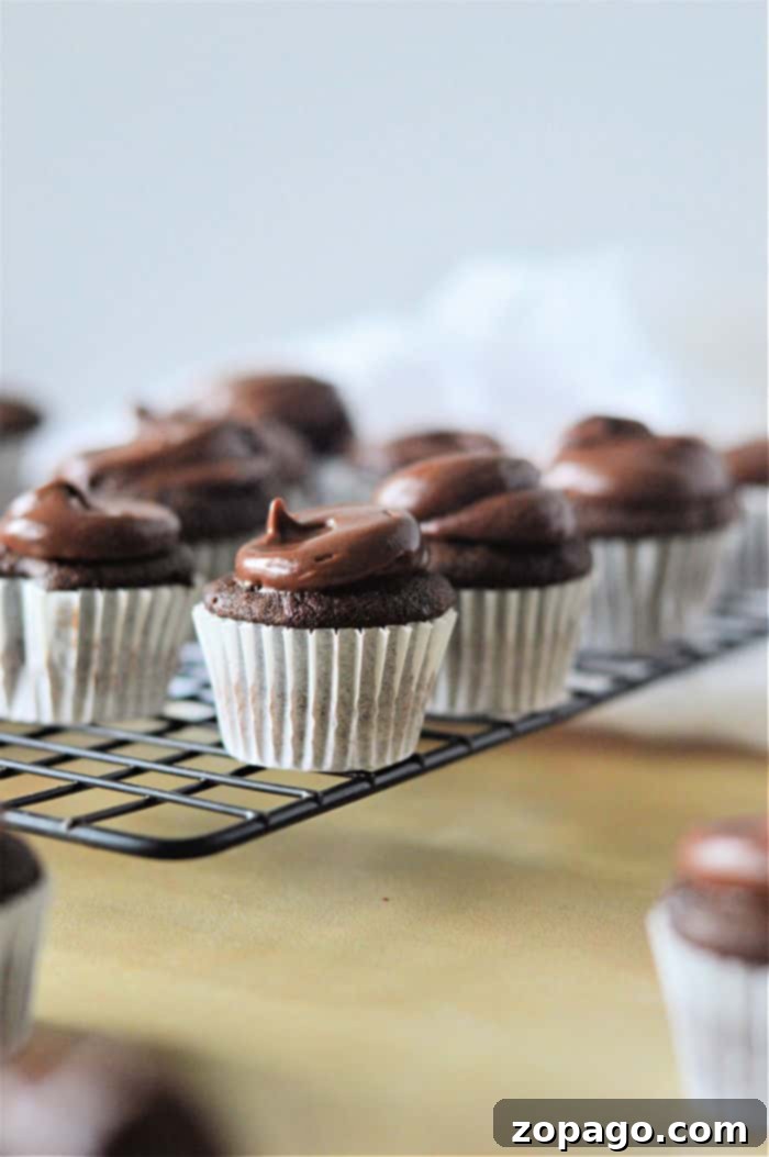 Bite-sized Chocolate Indulgences 4 A tray of mini chocolate muffins, some with chocolate chips, ready to be frosted or eaten.