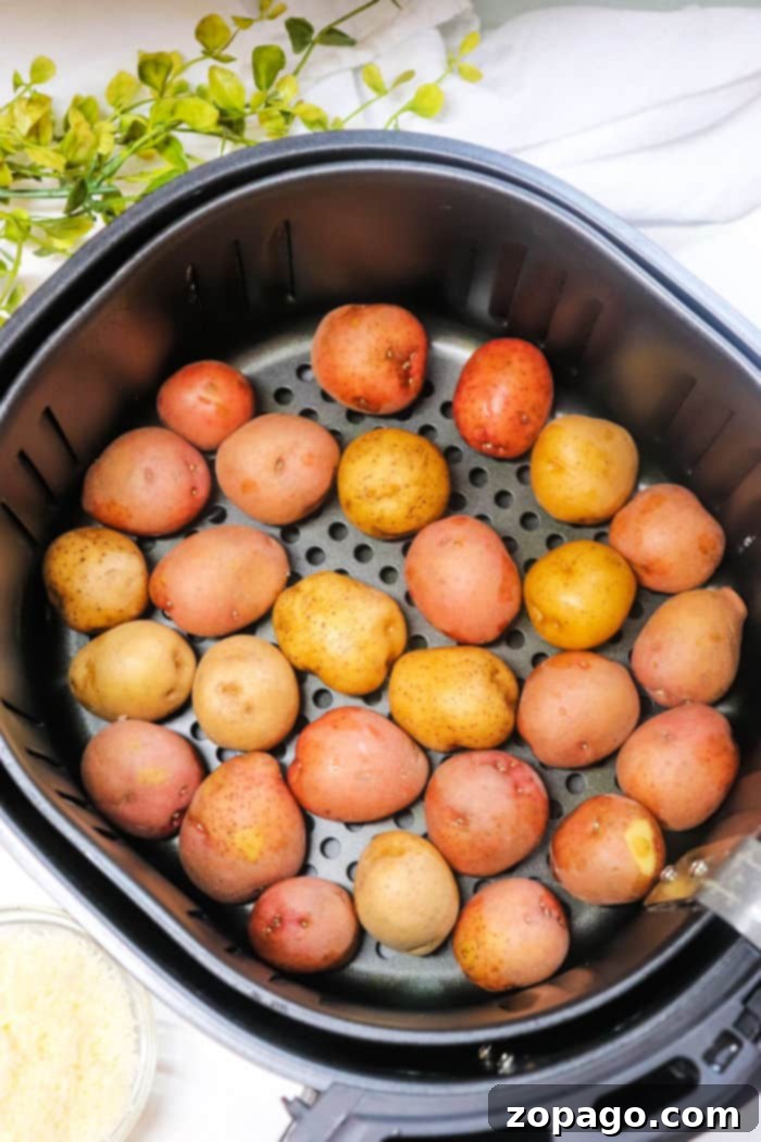 Close-up of freshly air-fried smashed potatoes seasoned with herbs and chili flakes.