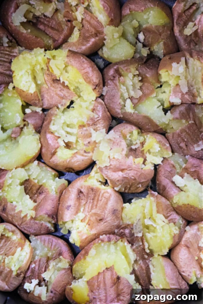 Perfectly smashed fingerling potatoes, golden brown and ready to serve.