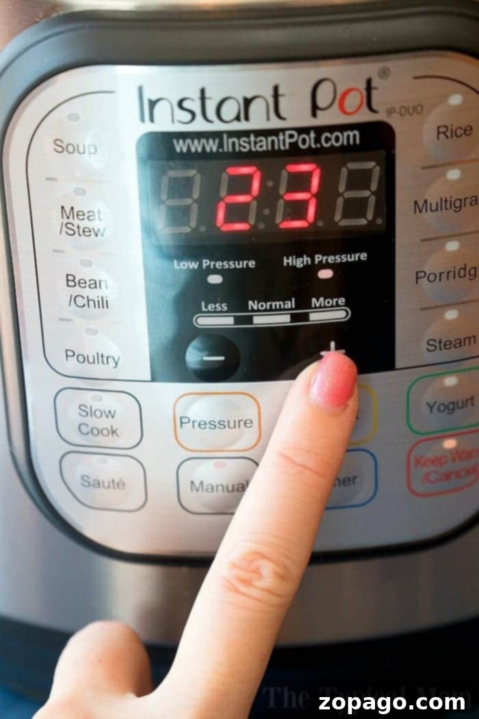 Instant Pot Pressure Building Time 2 How Long Does Instant Pot Take to Preheat - Visual representation of a pressure cooker in operation.