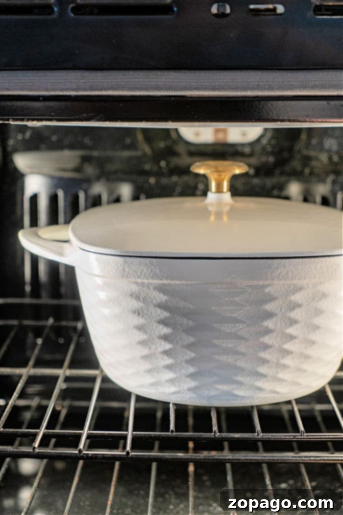 How to Cook Frozen Meat in Oven