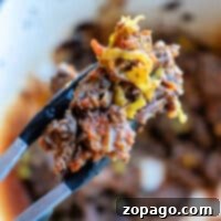 Frozen Roast Dutch Oven