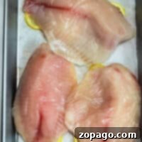 How to Cook Frozen Tilapia