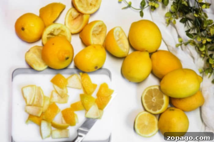 Dehydrated Lemon Peel