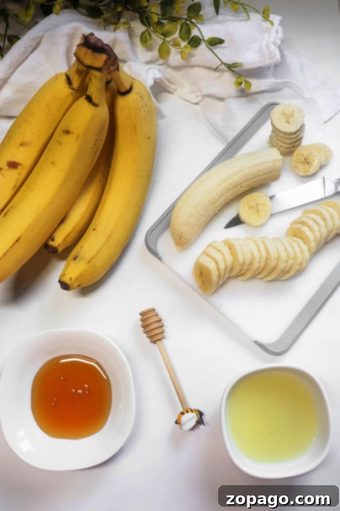 Delicious Dehydrated Banana Chips 3 Dehydrated Bananas