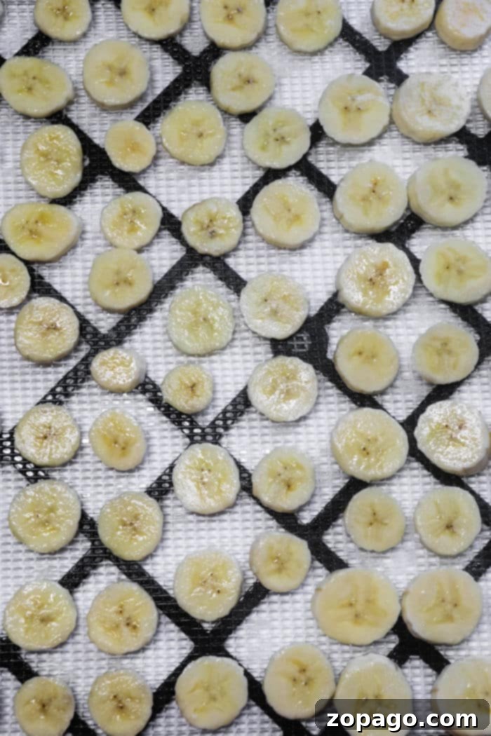 Delicious Dehydrated Banana Chips 4 Dehydrating Bananas