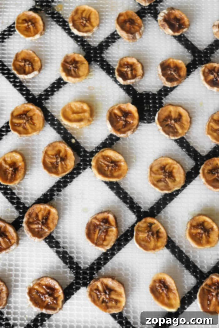 Delicious Dehydrated Banana Chips 5 Dried Banana