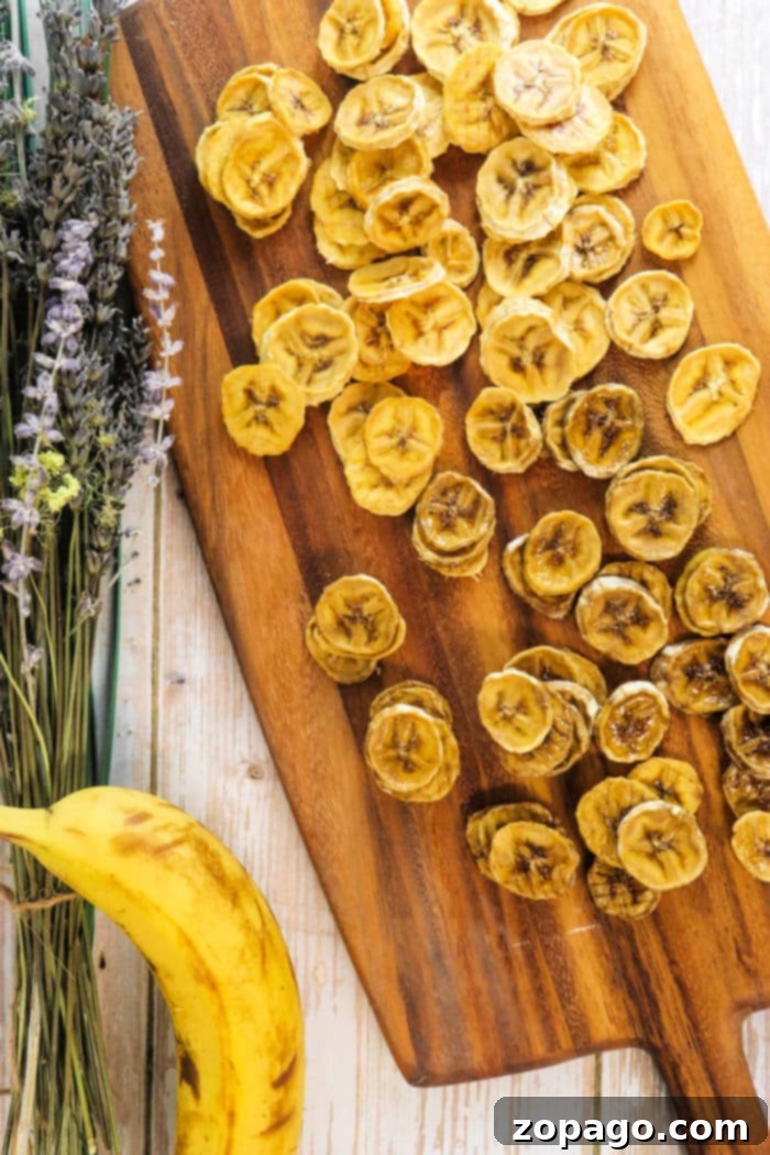 Delicious Dehydrated Banana Chips 6 bananas in dehydrator