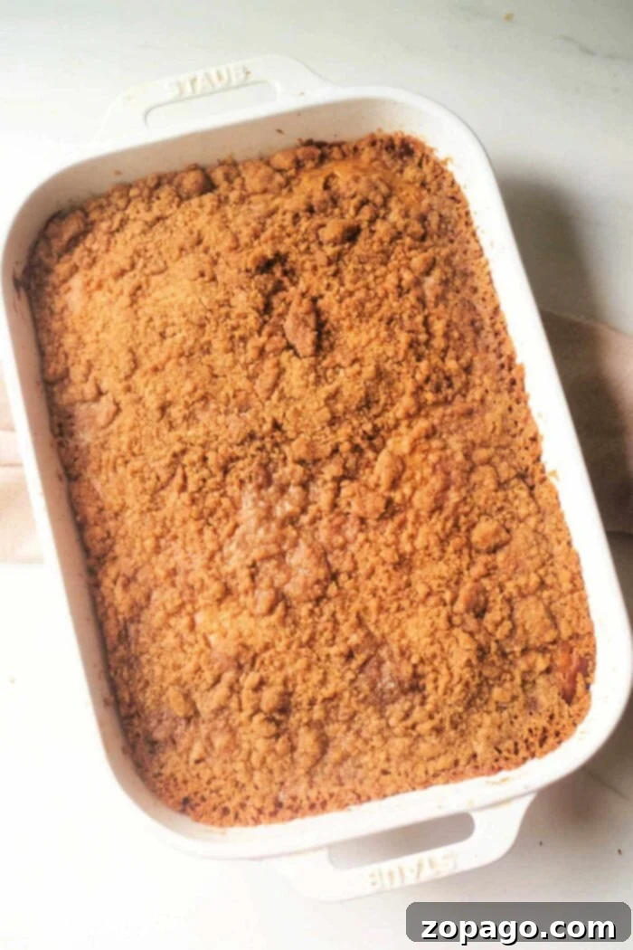 Banana Streusel Coffee Cake 11 A beautifully baked coffee cake featuring ripe bananas and a generous crumb topping, displayed in a rustic baking dish.