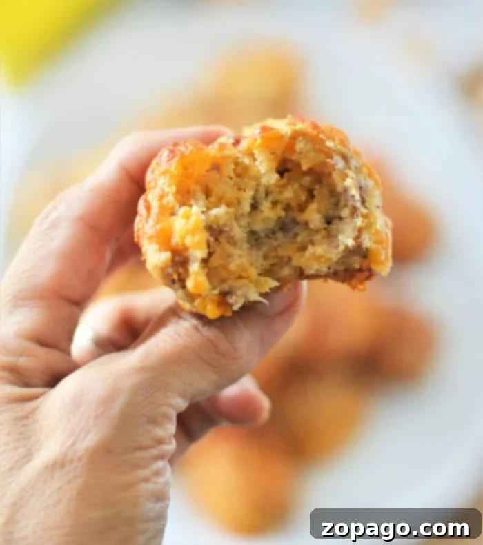 Golden Bisquick Sausage Bites 2 A hand holds a bitten savory Bisquick sausage balls, with a blurred background showcasing similar muffins on a plate. This image represents the delicious outcome of an easy Bisquick sausage balls recipe.