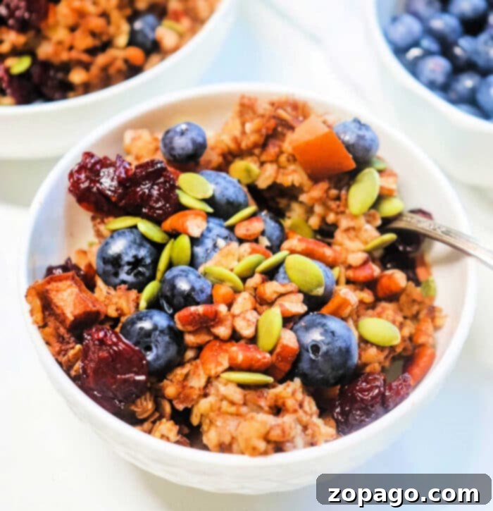 Creamy Slow Cooker Cinnamon Oats 2 A bowl of oatmeal with blueberries, pumpkin seeds, and dried cranberries, reminiscent of slow cooker cinnamon oatmeal.