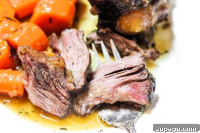 The Ultimate Guide to Delicious Oxtails 6 oxtail recipe