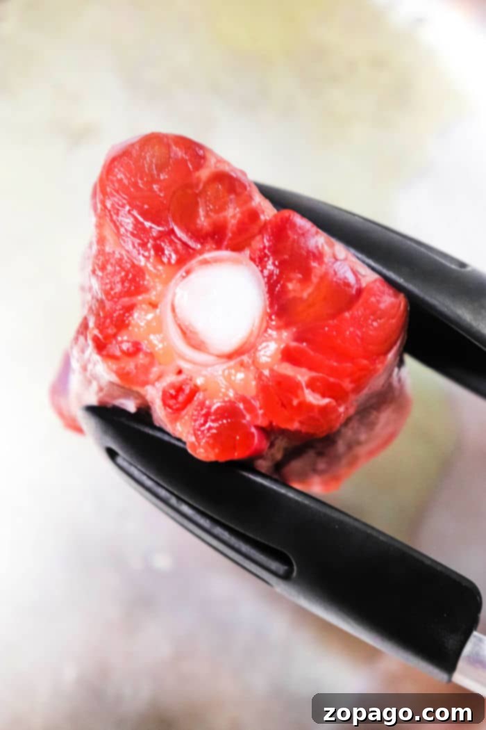 The Ultimate Guide to Delicious Oxtails 7 Close-up of raw oxtail held by black kitchen tongs, perfect for those learning how to cook oxtails on the stove. The meat is red and fresh, showcasing a central bone surrounded by a circular arrangement of edible tissue. The background is blurred, focusing attention on the oxtail.