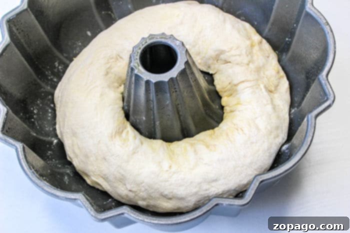 Bundtwich Delight 5 Dough rising beautifully in a bundt pan, demonstrating the process of baking bread in a bundt pan.