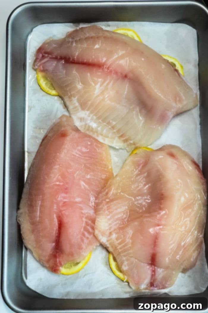 From Freezer to Fantastic: Mastering Frozen Fish 9 Step-by-Step Guide: How to Cook Frozen Tilapia