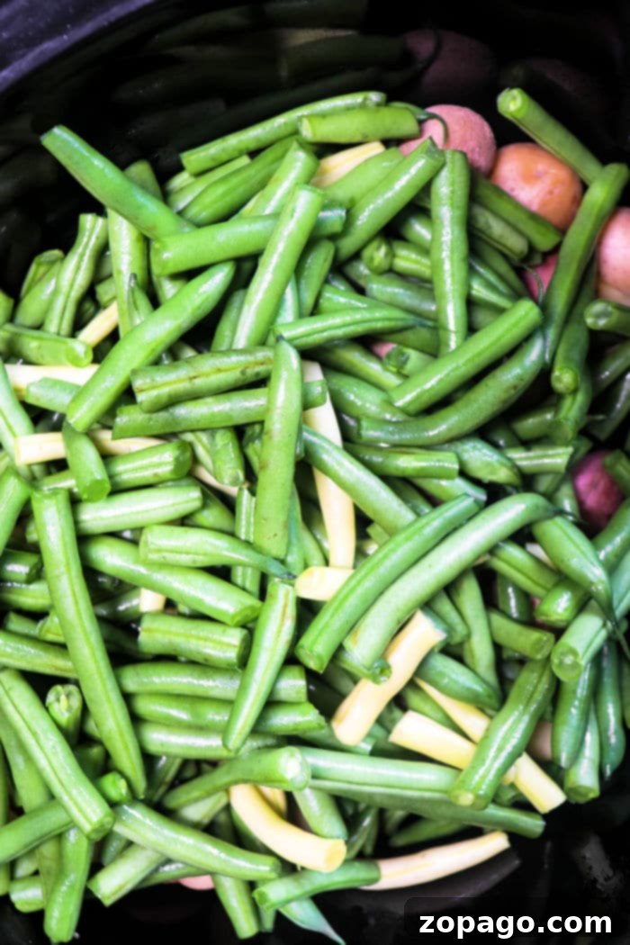 Savory Green Beans with Ham 4 Sausage Green Beans and Potatoes