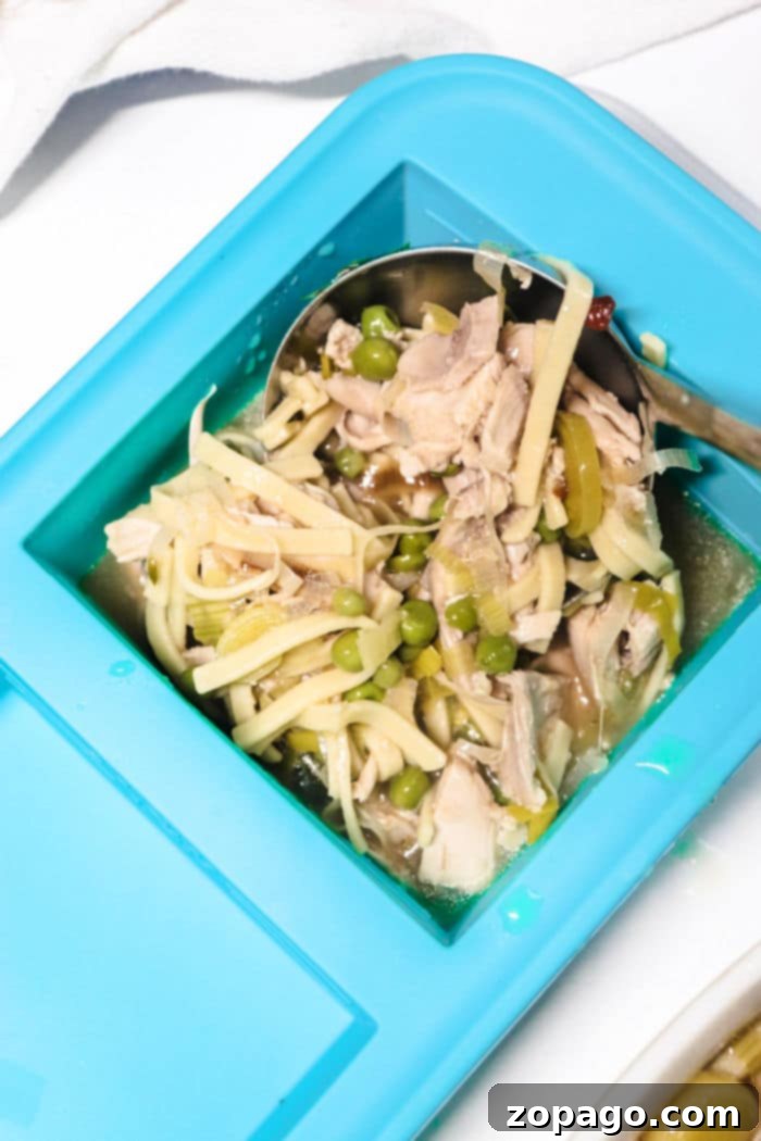 How to Freeze Chicken Soup Perfectly 4 Freezing chicken soup with Souper Cubes for perfect portions