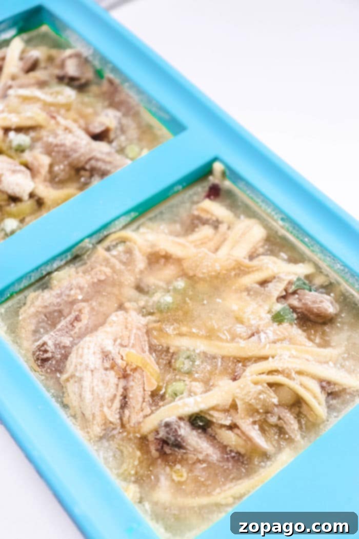How to Freeze Chicken Soup Perfectly 5 Souper Cubes from Shark Tank for efficient soup storage