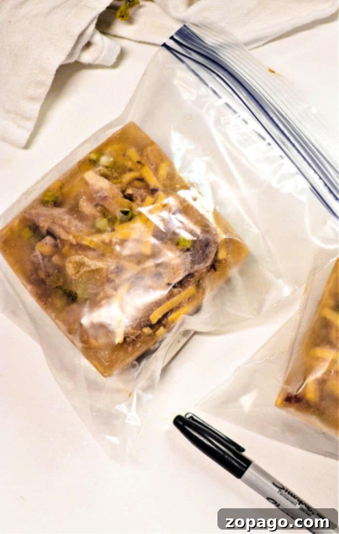 How to Freeze Chicken Soup Perfectly 7 Freezing chicken noodle soup in various ways for convenience