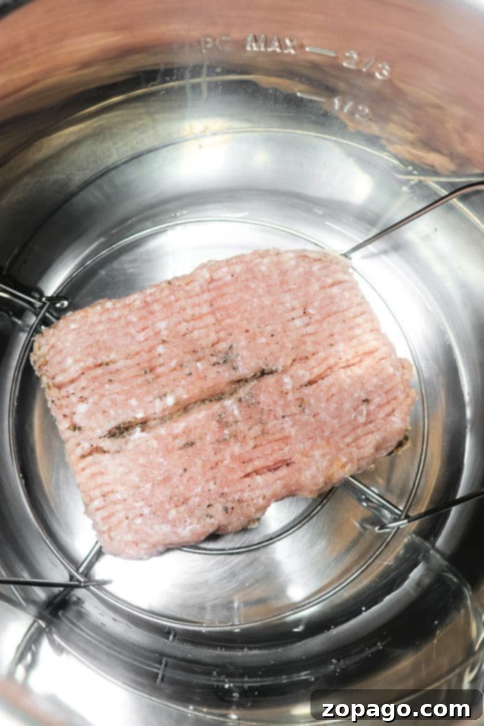 How to Cook Frozen Ground Turkey block in a pressure cooker with seasonings