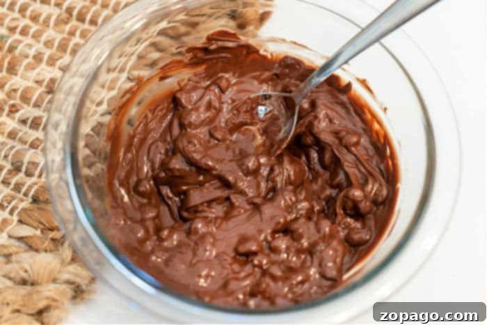 Effortless Microwave Chocolate Melting 6 How to Melt Chocolate Chips - Velvety melted chocolate in a bowl