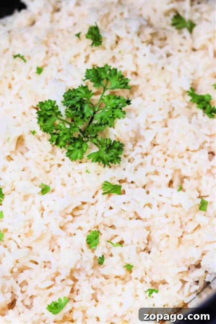 Fluffy Slow Cooker White Rice 2 A close-up image of a dish of cooked white rice, prepared in a slow cooker, garnished with a sprig of fresh parsley and small parsley pieces scattered throughout.