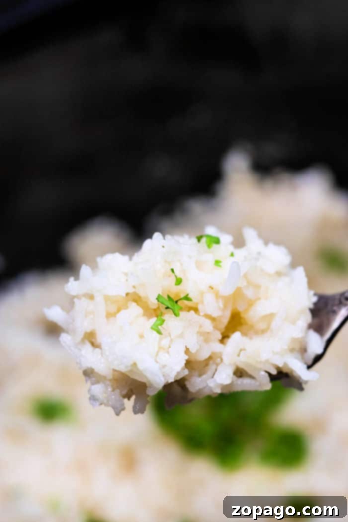 Slow Cooker White Rice 7 Rice in Slow Cooker