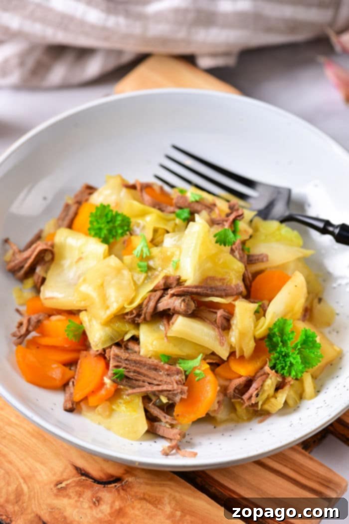 Hearty Cabbage Stew 10 Healthy Beef and Cabbage Recipe with a vibrant mix of vegetables in a bowl.